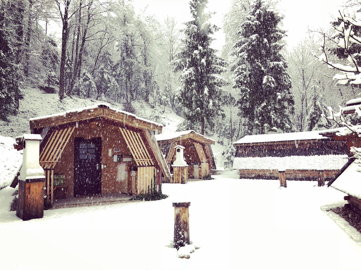 pensionpibernik's tweet photo. 🏠🌲❄️❤️😊
#Bled https://t.co/59W6fc2gHv