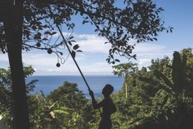 Wisten jullie dat Zalsman CO2- neutraal produceert? Dit doen wij door inzet van carpoolprojecten, elektrische auto’s en fietsen voor onze werknemers. Meer weten? Bekijk ons duurzaamheidsverslag
zalsman.nl…/Zalsman_Duurzaamheidsverslag_2015_b…