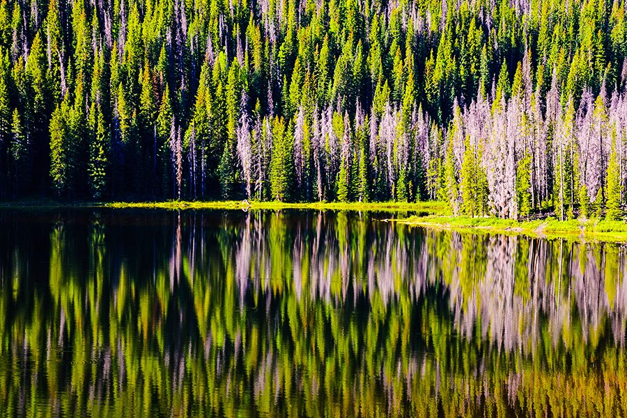 ThColoradoImage's tweet image. Piney River Lake