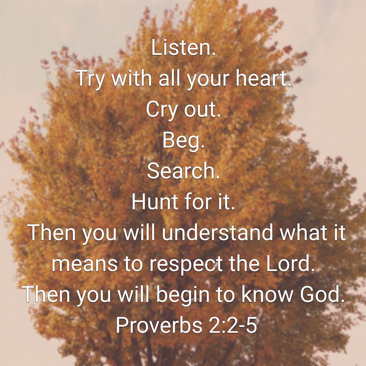 RealShayneBan's tweet photo. Listen. Try. Cry out. Beg. Search. Hunt. 
All strong action words. 
All ways to know God. 

https://t.co/0BB5wcxmMd https://t.co/1oZ3UPP1AR