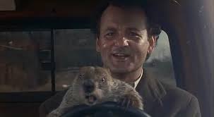 JoslinTexas's tweet image. Okay, Campers! Rise and Shine! 
#Construction #GroundhogDay #SiteUtilities #Concrete #Earthworks