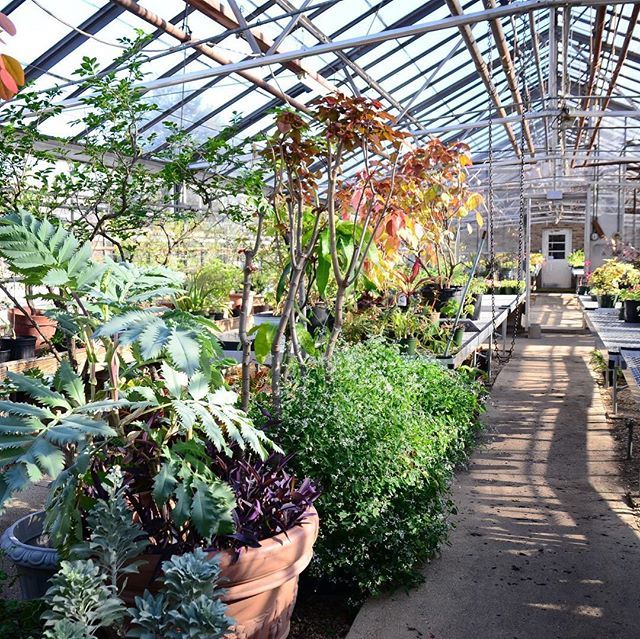 Queens Botanical Garden On Twitter Join Our Staff This Saturday