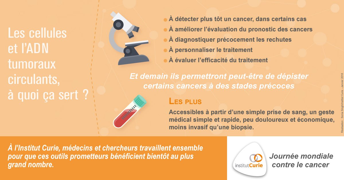 institut_curie's tweet photo. #Journeemondialecontrelecancer Les cellules et l'ADN tumoraux circulants permettront peut-être demain de dépister certains #cancers à des stades précoces ► https://t.co/BKC0SbS29m https://t.co/MsdhuS2yW8
