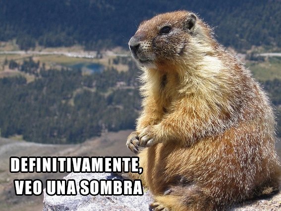 befrikialone's tweet photo. 6 semanas más de invierno https://t.co/gfDtFUtpSR