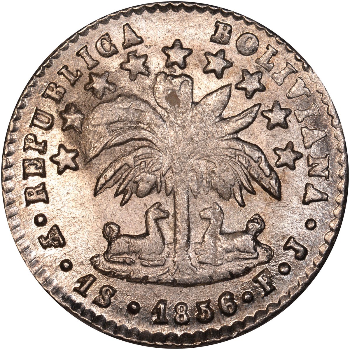 NGCcoin's tweet photo. Fast fact: We post our Coin of the Day on our Facebook page. Here are some recent examples. https://t.co/UASntfDkT8 … ... #coin #coins #coincollecting #numismatics #halfdime #bolivia #austria #quarter https://t.co/F7AgcpHllC
