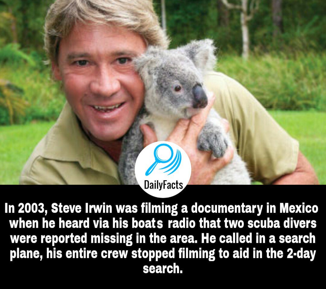 NowYouKnowDaily's tweet image. 