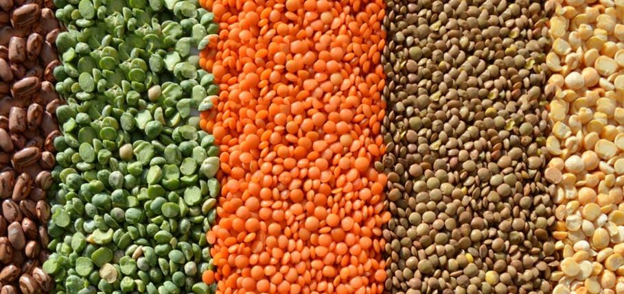 coopagro_crs's tweet photo. Did you know Canada produces one third of the world’s lentils, chickpeas, peas and beans? The pulse industry alone contributes $3 billion to the Canadian economy. Learn more on pulses here: https://t.co/IOD6aokdtt https://t.co/HJrO93Rtdy