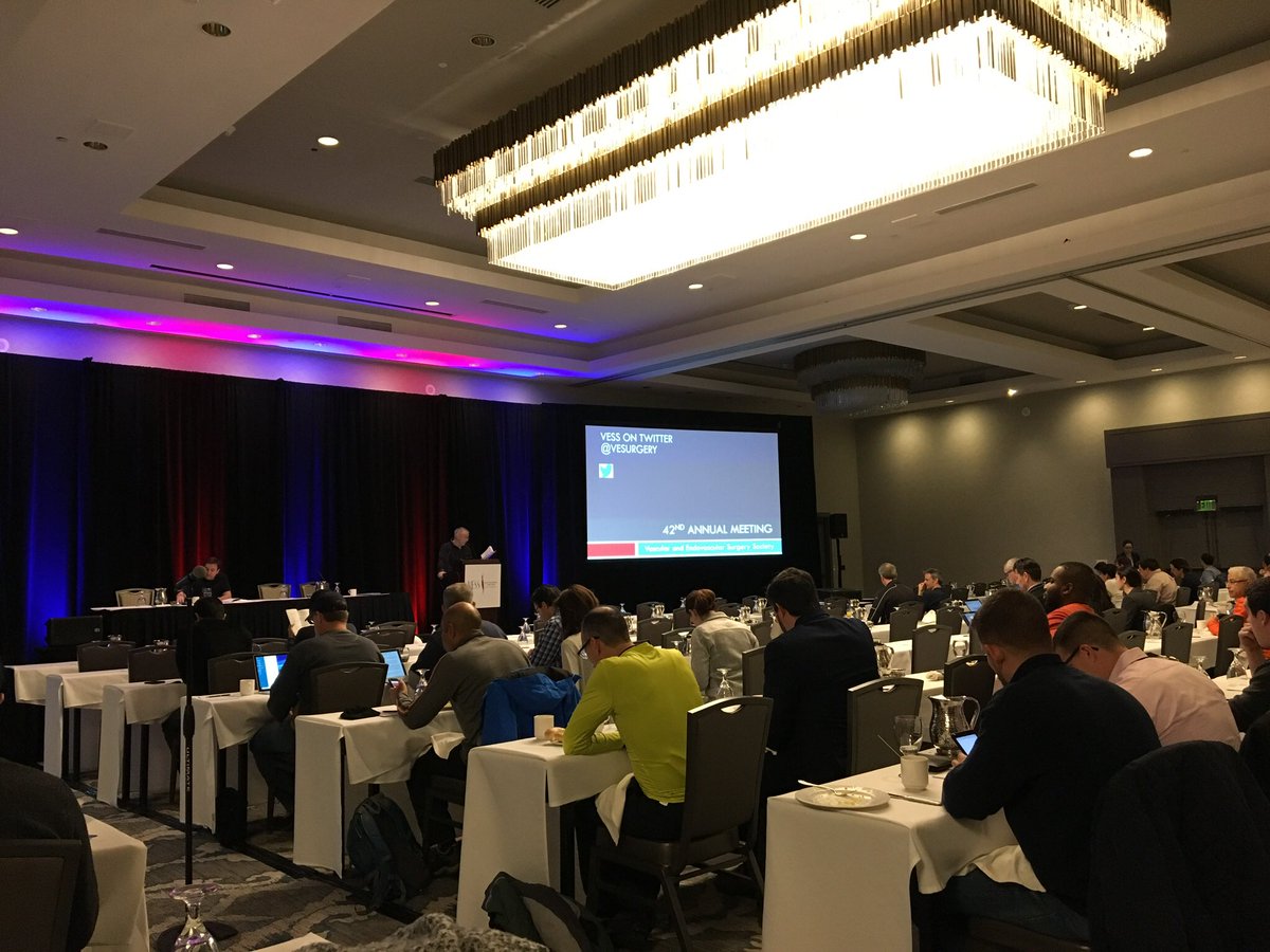 Kickoff of the 1st scientific session <a href="/VESurgery/">VESurgery</a>