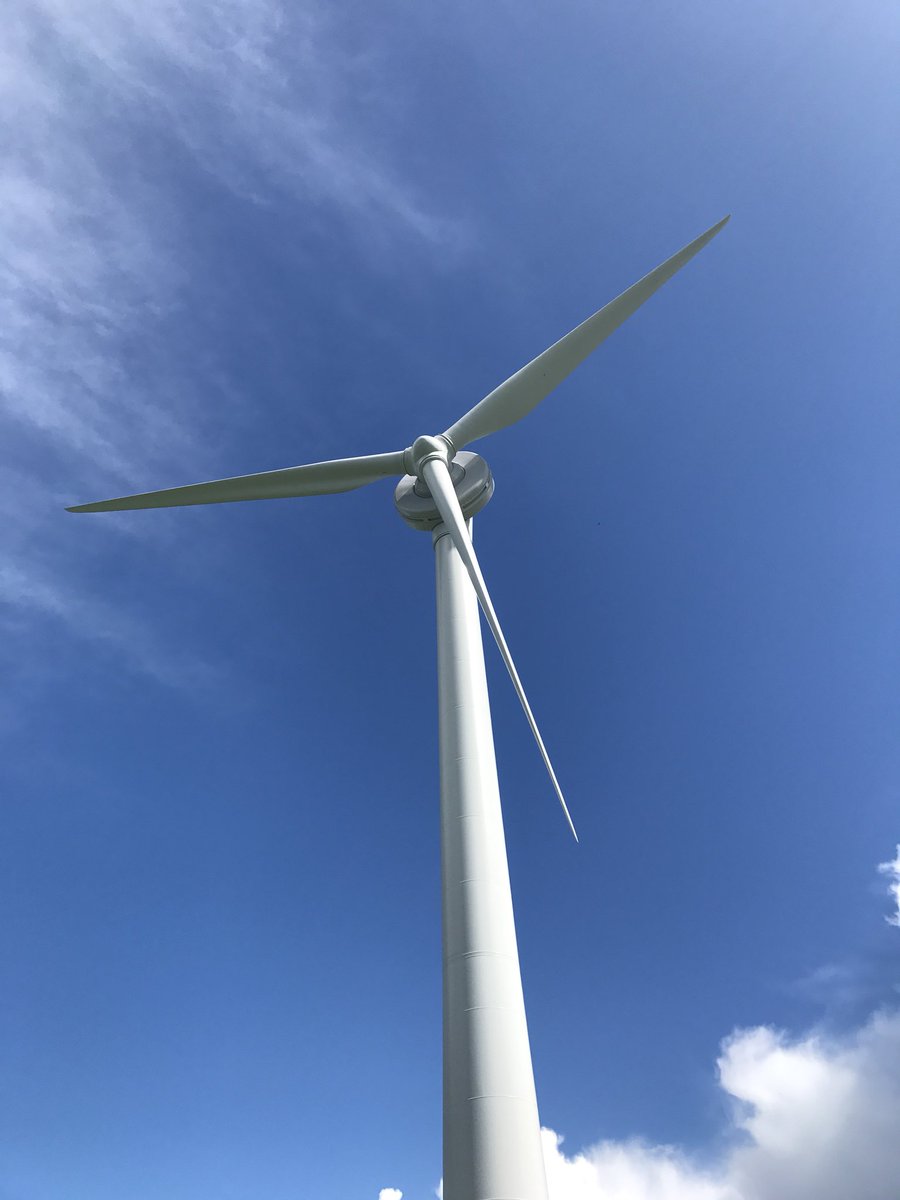 YnNi Teg tweet media