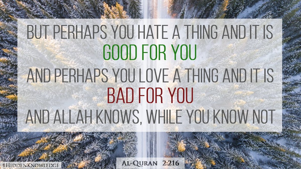 TonyStarkLK's tweet photo. #DailyVerse #AlQuran #SurahAlBaqarah #UnknownKnowledge https://t.co/0MfSFwKOEJ