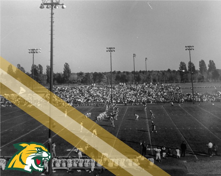 NMU_Football's tweet photo. Memorial Field, thank you for the memories #NMUFootball #NMUWildcats https://t.co/JocEpli4ug