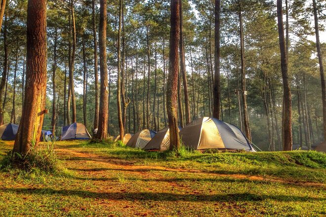 infobdg's tweet photo. Beberapa tempat camping asyik versi mimin.
1. Ranca Upas, Ciwidey
2. Cikole, Lembang
3. Jayagiri, Lembang
Kalau taruwit senengnya camping kemana? #wisataBDG https://t.co/9E5l53RcMZ