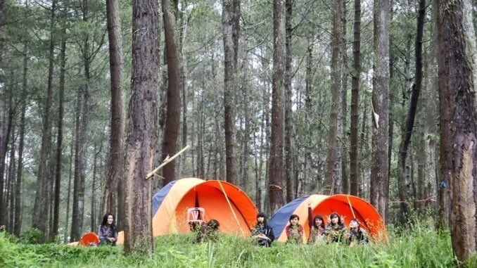infobdg's tweet photo. Beberapa tempat camping asyik versi mimin.
1. Ranca Upas, Ciwidey
2. Cikole, Lembang
3. Jayagiri, Lembang
Kalau taruwit senengnya camping kemana? #wisataBDG https://t.co/9E5l53RcMZ