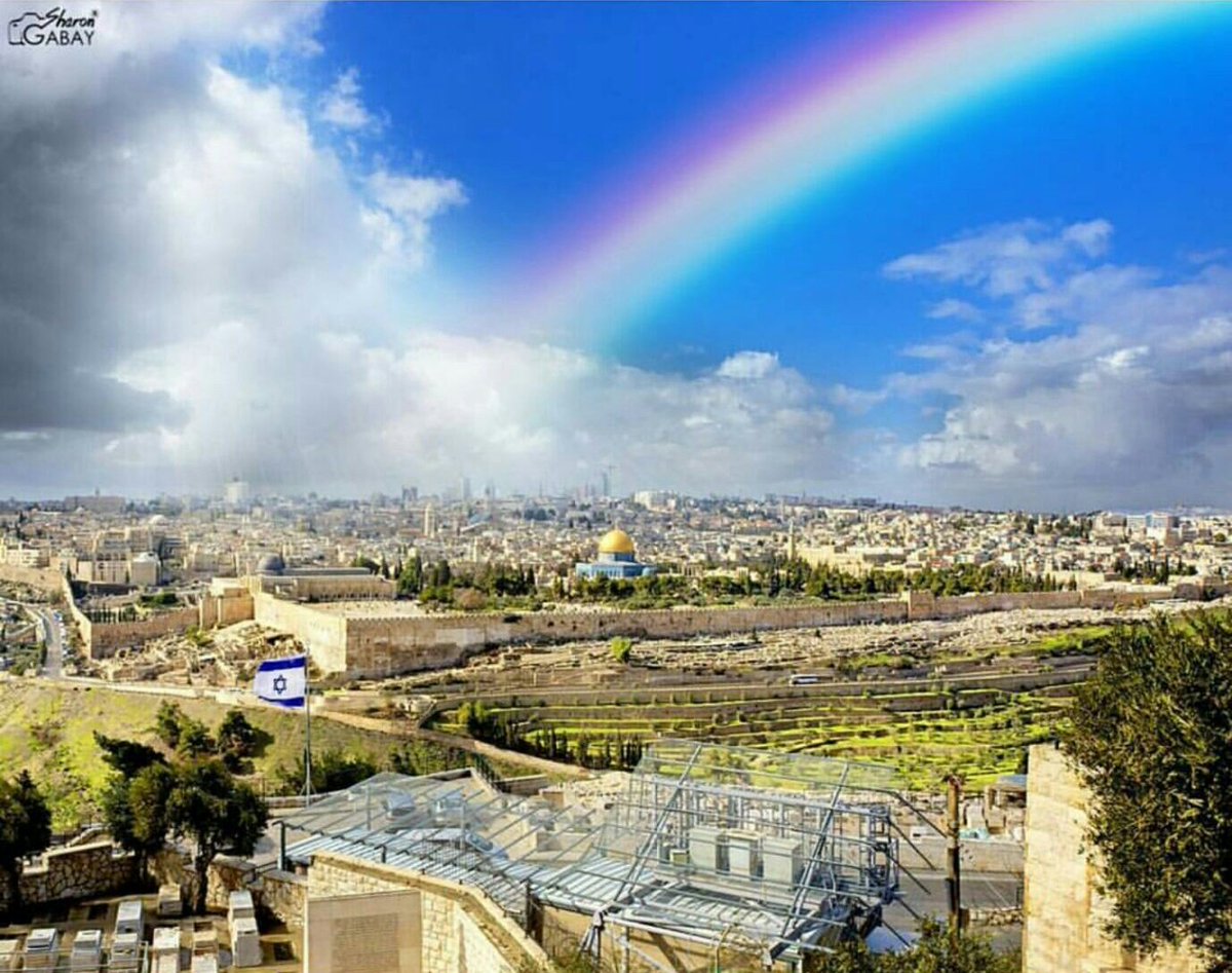 Israel ישראל tweet media