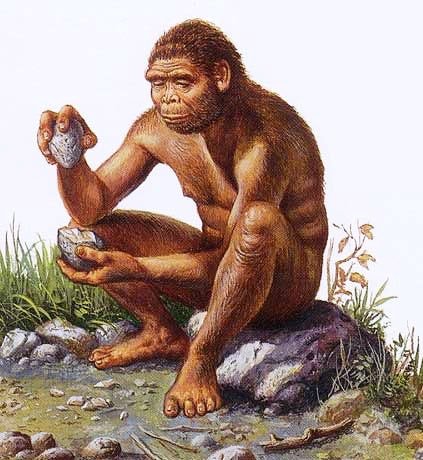 cknopick's tweet photo. New addition to our #ATBio collection: Homo erectus, existed between 140,000 and 1.9 mya. Was the first archaic human to use fire and hand axes. https://t.co/kBp5dBpaYM
