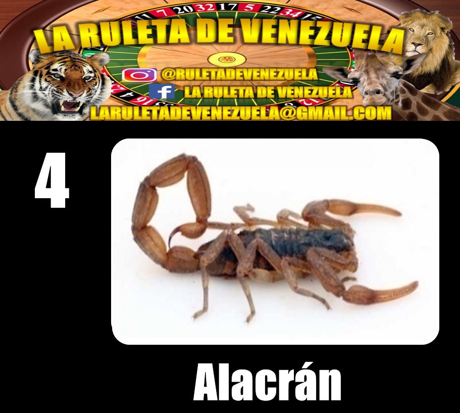 RESULTADO SORTEO 9:00 AM 02 FEBRERO 2018 04 ALACRÁN