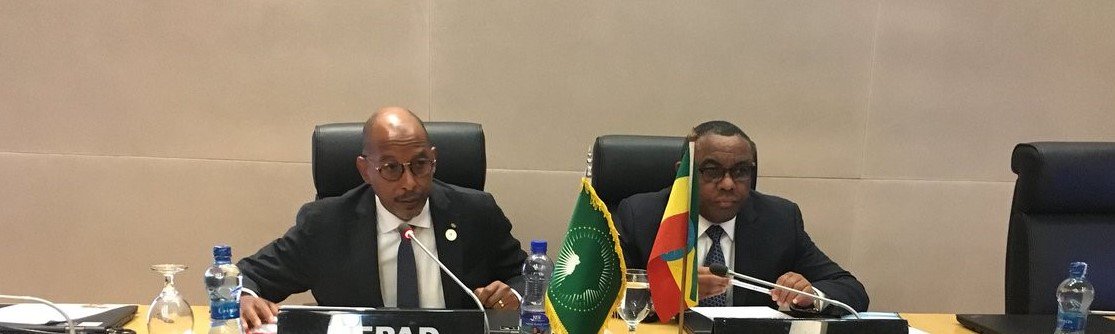 NEPAD_Agency's tweet photo. Transforming #Agriculture in #Africa ➡️https://t.co/EirXMJGD48 #TheAfricaWeWant @NEPAD_Mayaki @FatiHassane @MwanjaSusan @wamboyamdjeu @hamadydiopgmai1 https://t.co/gt1gx7N519