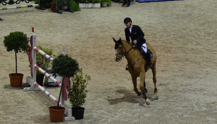 JumpingBordeaux's tweet photo. #jumpbdx notre champion olympique Roger Yves Bost et Vino d'Espinet rencontrent quelques difficultés en cours de parcours 13 pts de pénalités https://t.co/ksVvQboGXZ