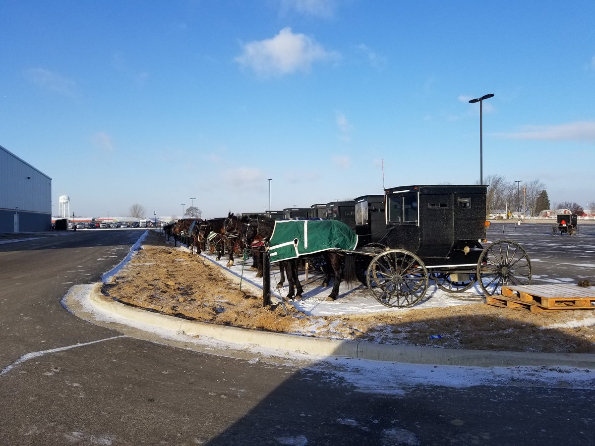 chrisleefish's tweet photo. If you dont think #soilhealth is important ask these 800 Amish folks why they chored early on a 9 degree day hitched their horse and rode to hear these great speakers at Northern Indiana Grazing Conference #covercrops https://t.co/YoBDCWjFoL