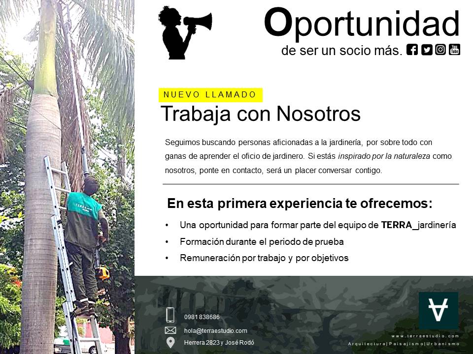 Terra_inspira's tweet photo. Porque los proyectos exitosos se hacen en equipo. 
¡Trabaja con Nosotros y sé un socio más! #Febrero 
#terra_jardín #terraestudio #jardinería #Asunción #terra_testing
https://t.co/UukbROLs1n https://t.co/3JoRnC5Hm9
