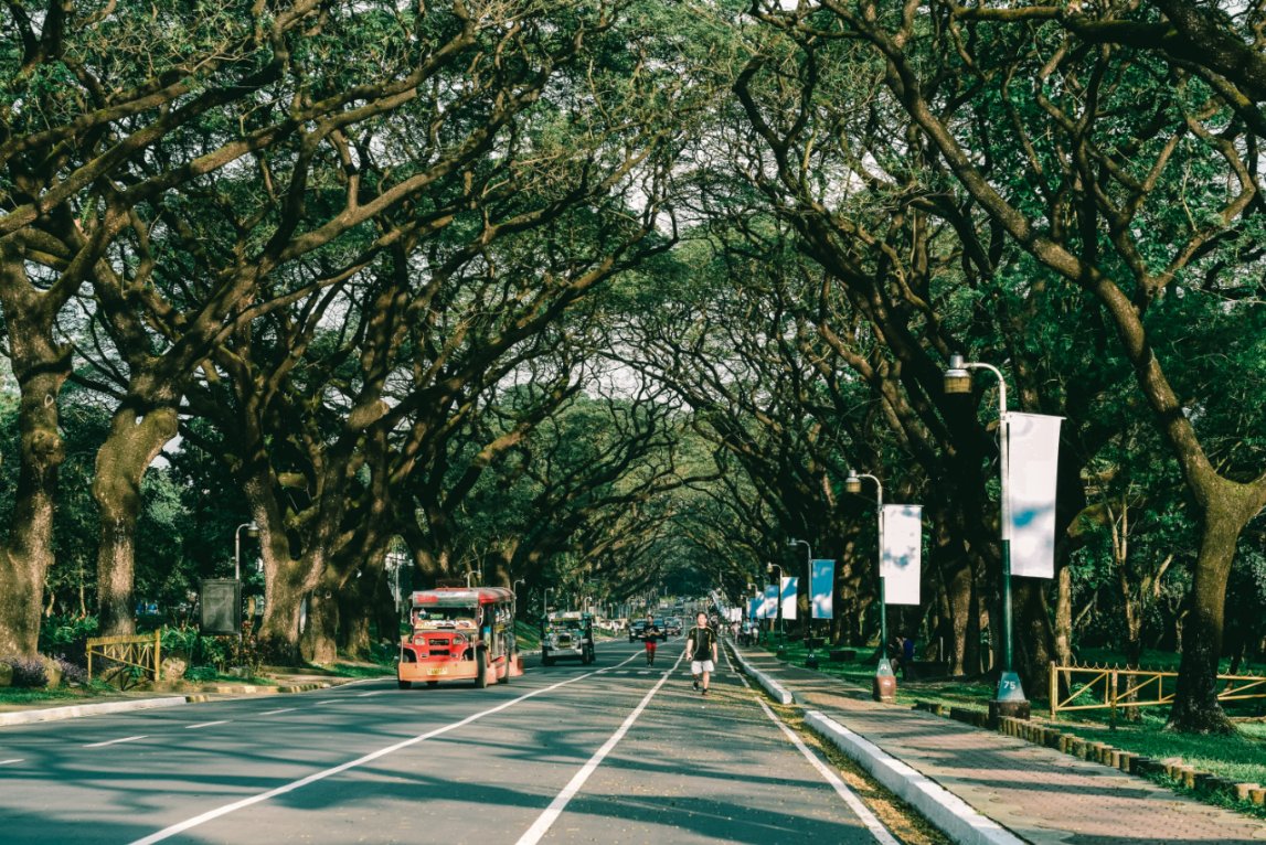 jazireedc's tweet photo. concept: morning/evening walks along the acad oval, genuinely marveling at the life you've spent in this place, and remembering all sorts of memories – the good, the bad, and everything in between https://t.co/YMZY3M9Wwi