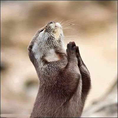 probablosan's tweet photo. @AdvBarryRoux Amen 🏃🏃🏃🏃🏃🏃🏃gone...... https://t.co/kwCmSpEaEX