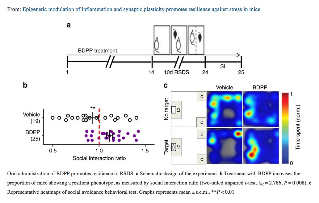 IcahnCMIN's tweet photo. IMPORTANT NEW STUDY led by @Pasing01 @IcahnMountSinai identifies 2 new bioactive phytochemicals, indicates they may be capable of attenuating #depression, target newly discovered underlying mechanisms of disease. @NIH_NCCIH @NIH_ODS @untBiology @RutgersU https://t.co/pdBWK2Mjze https://t.co/EI1EAzt5as