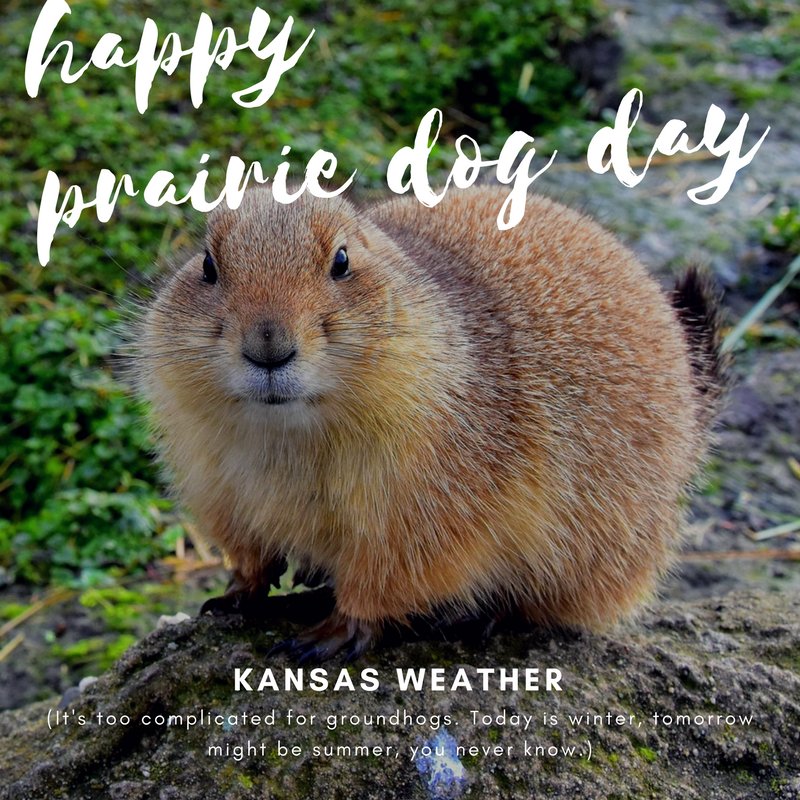 cityofmhk's tweet photo. Punksatawney Phil saw his shadow, but you can't call the weather six weeks out in Kansas! It could be summer by this afternoon! We need a local rep. #PrairieDogDay #Kansas https://t.co/HmJlHc12nk