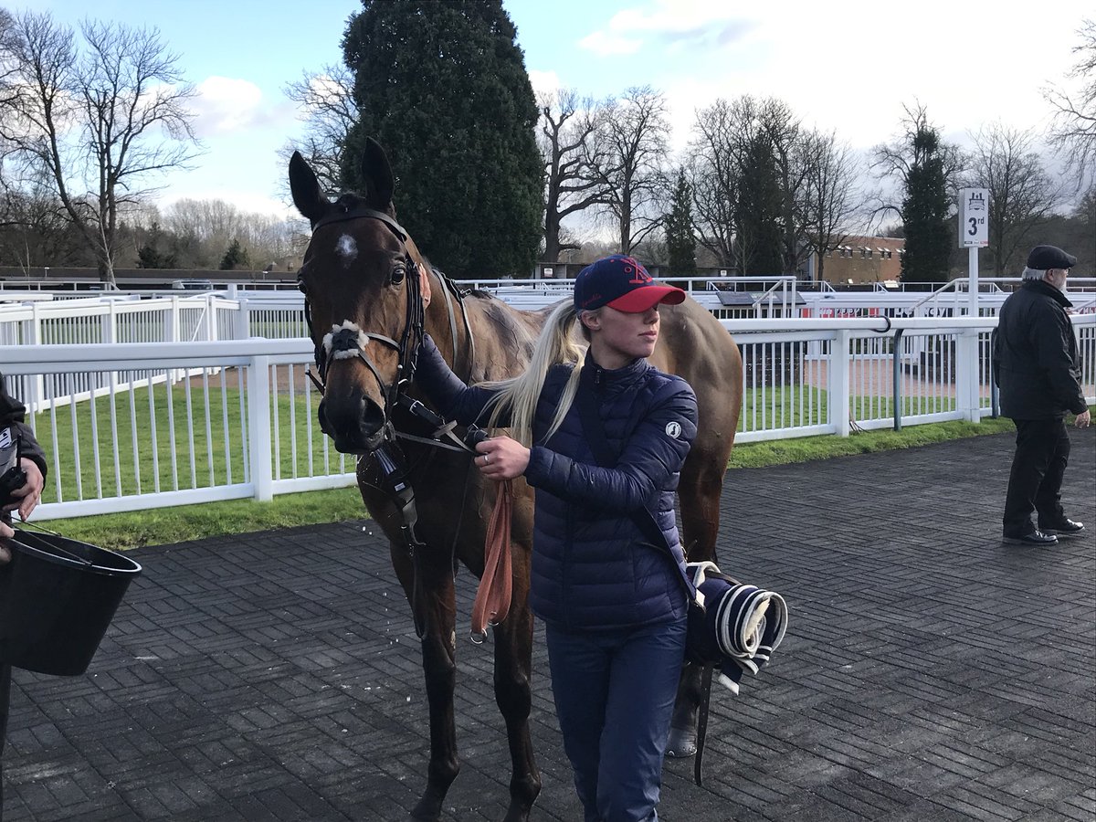 corbsinger's tweet image. Winner winner chicken dinner 🏇🥂🍾🏆🎊🐓 get involved with us for great days out and hopefully many more wins! £40 a week is all it costs 😍🏇💙💛💙💛