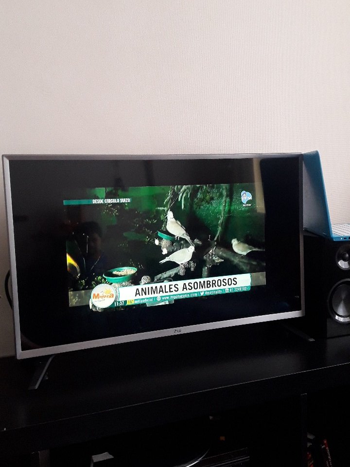 ximemagallanica's tweet photo. Viendo vía internet el #matinalitv que por años me acompañó en mi bello PUQ. Saludos a Porvenir y Punta Arenas @Oscar_Espana_B desde concepción ✌ #añoslindos #recuerdos #magallanes ❤ https://t.co/ObEKXgxRaD