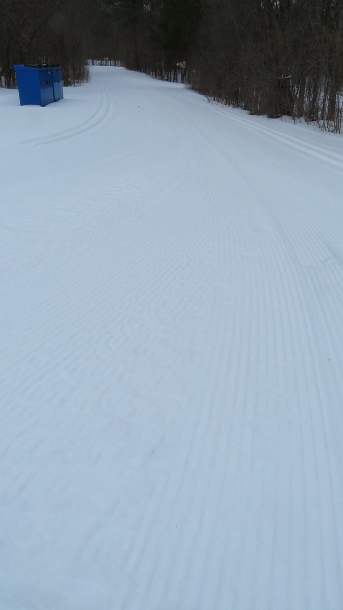 LuKing16's tweet photo. @KanataNordic Trail#6 (yesterday late afternoon) https://t.co/zSOpw9fk9X