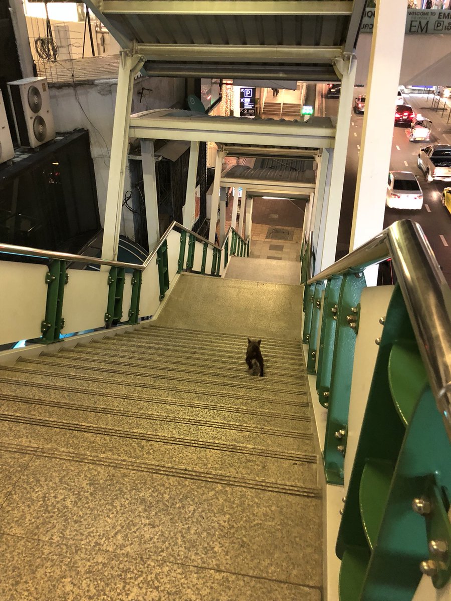 thecuriousdan's tweet photo. คือน้องนั่งบีทีเอสแล้วไปลงไหนไม่รู้ https://t.co/XansOwlvWR