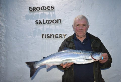 InlandFisherIE's tweet image. Bundoran charity event next Friday to mark first salmon catch of 2018 fishinginireland.info/news/salmon-re…