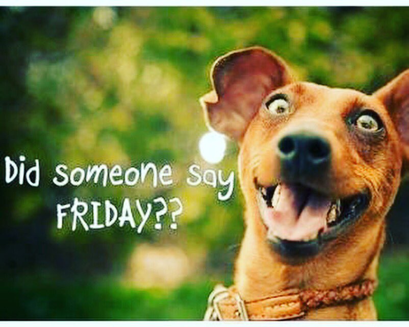 _makersmarket's tweet photo. It's TOMORROW!!!
The sensational #Whitchurch Makers Market!!
Join us from 10am on the high street and the Bull ring for #food #drink #art and #craft! Plus street food and more!.... ❤️🙌🏻
High Street and The Bull Ring
Whitchurch
Shropshire
SY13 1AX
10am - 4pm #Shropshire https://t.co/Pt4ufGnfoP