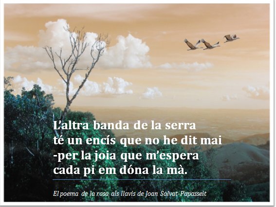 Laiadss's tweet photo. Tanca de #SalvatPapasseit a #ElPoemaDeLaRosaAlsLlavis @SomLesMiles @sicafe https://t.co/hEuztoTsTr