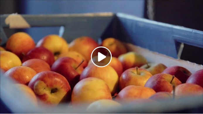 Food Value is an online marketplace for local food groups. The tool takes care of administration, sales, and offers great ways of communication. You can decide how your local marketplace looks and is organised.