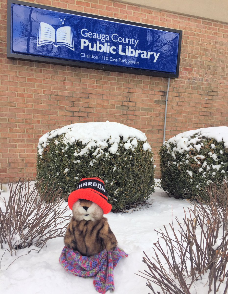 GeaugaLibrary's tweet image. Geauga Phil, reporting from our Chardon Branch this morning, agrees with #PunxsutawneyPhil, but out here we know winter isn't over until #MapleFest. #GroundhogDay2018 😜☃️