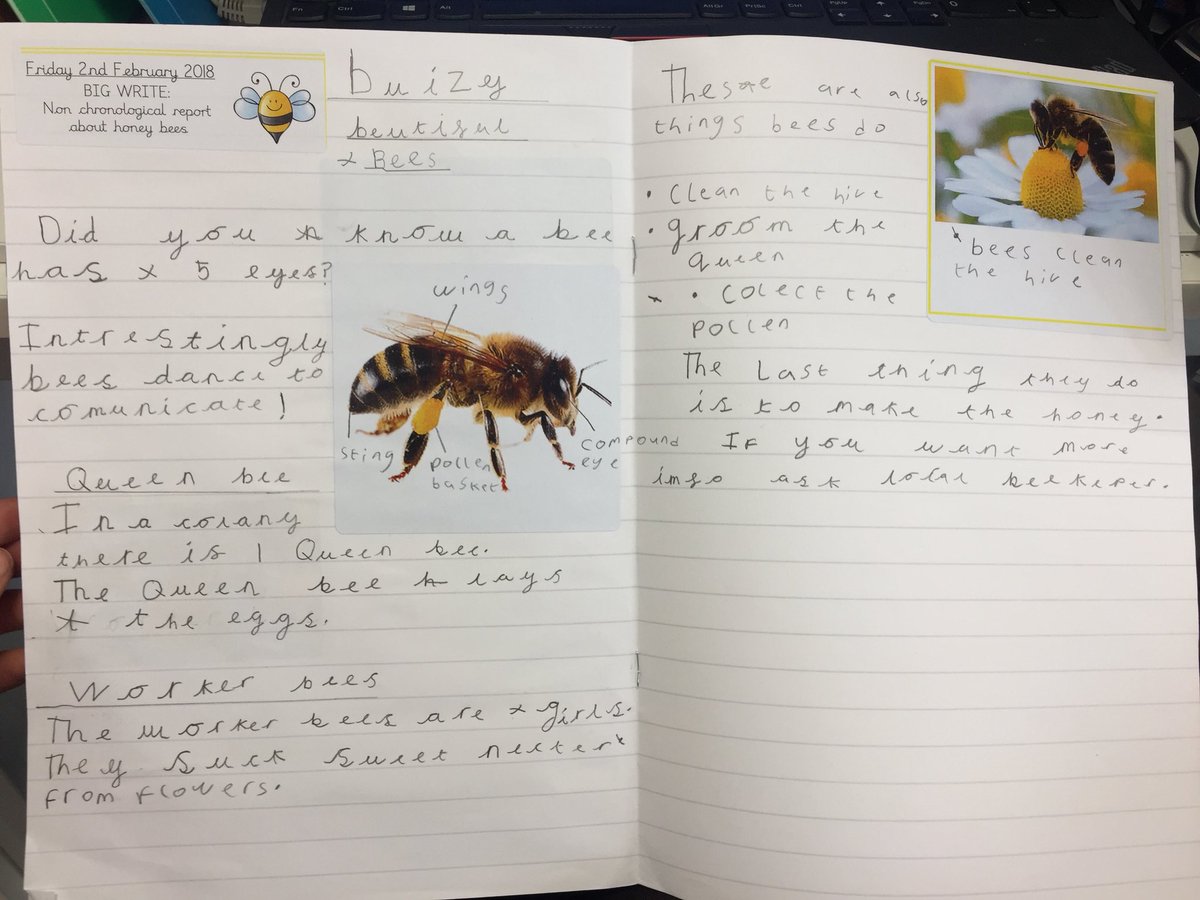 miss hinawski on twitter some of year 2 s big writes from this morning non chronological reports about honeybees mrsjonesnp janeconsidine newparkprimary missday10 britishbee beekeeping honeybeetweets writing year2 honeybee ks1 what is the difference between technical and jobs how to write accounting internship report miss hinawski on twitter some of year 2 s big writes from this morning non chronological reports about honeybees mrsjonesnp janeconsidine newparkprimary missday10 britishbee beekeeping honeybeetweets writing year2 honeybee ks1 what is the difference between technical and jobs how to write accounting internship report
