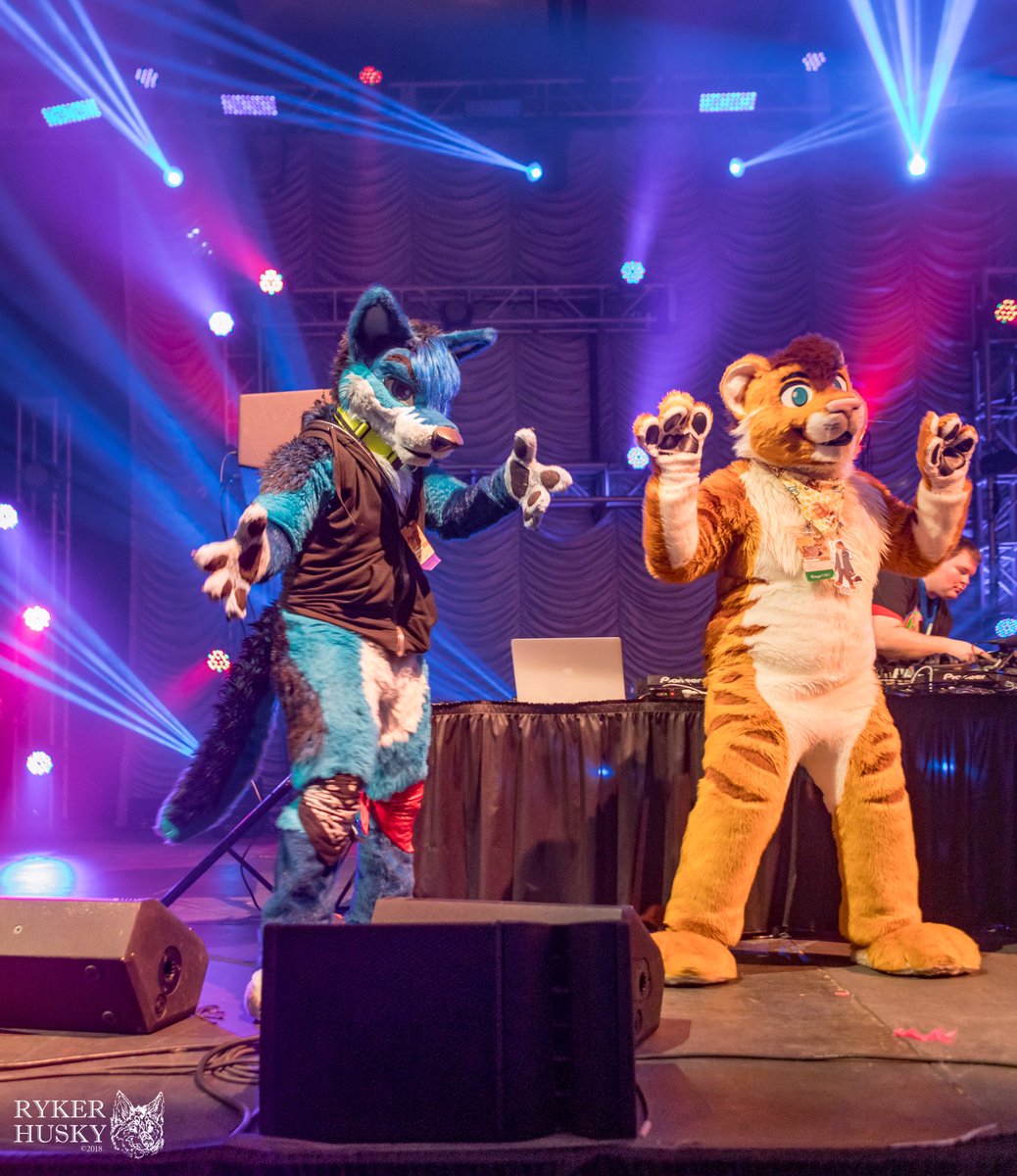 RykerHusky's tweet photo. Happy #FursuitFriday everyone. My @furcon #FC2018 photos are done. 

Remember to like, RT/share, credit, and enjoy.

https://t.co/tiy5xw1czZ

If you like my work, please consider buying me a Ko-fi (https://t.co/75G1bing42). https://t.co/gz1ONrYTzr