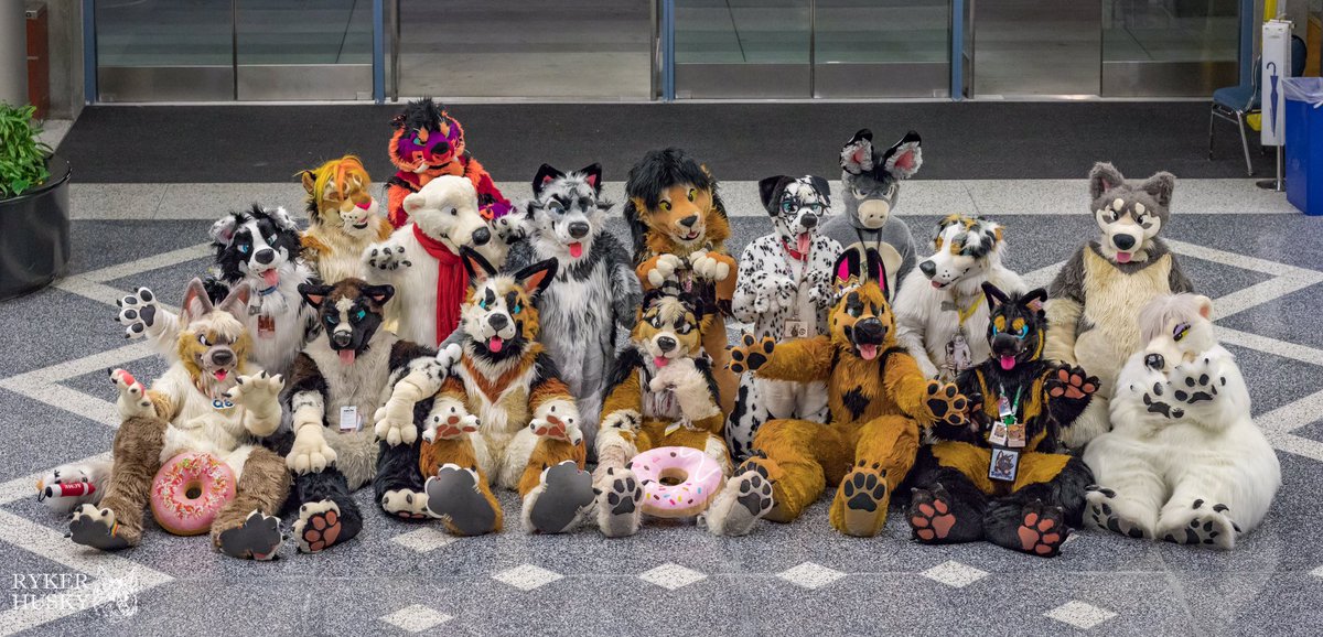 RykerHusky's tweet photo. Happy #FursuitFriday everyone. My @furcon #FC2018 photos are done. 

Remember to like, RT/share, credit, and enjoy.

https://t.co/tiy5xw1czZ

If you like my work, please consider buying me a Ko-fi (https://t.co/75G1bing42). https://t.co/gz1ONrYTzr