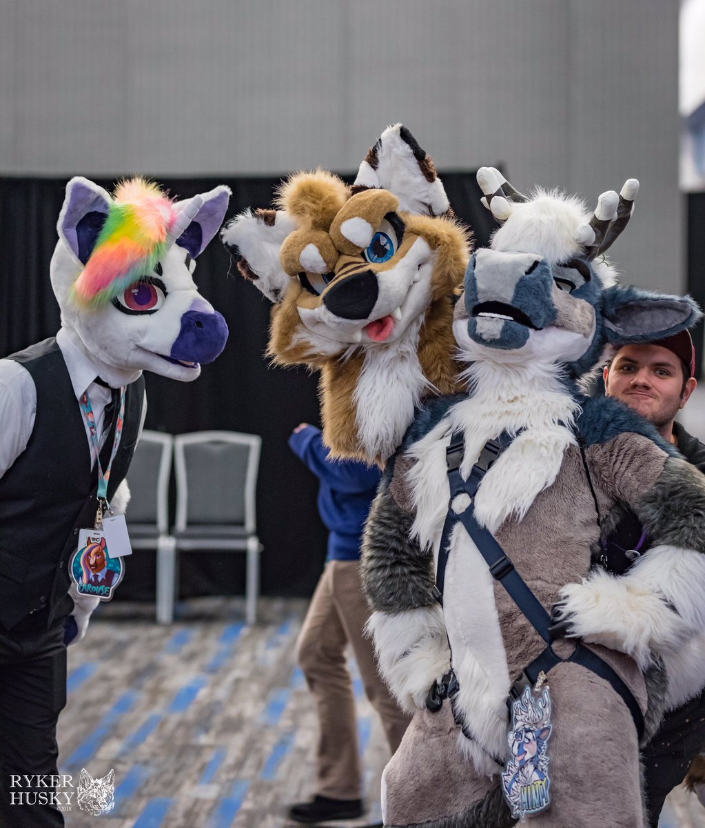 RykerHusky's tweet photo. Happy #FursuitFriday everyone. My @furcon #FC2018 photos are done. 

Remember to like, RT/share, credit, and enjoy.

https://t.co/tiy5xw1czZ

If you like my work, please consider buying me a Ko-fi (https://t.co/75G1bing42). https://t.co/gz1ONrYTzr