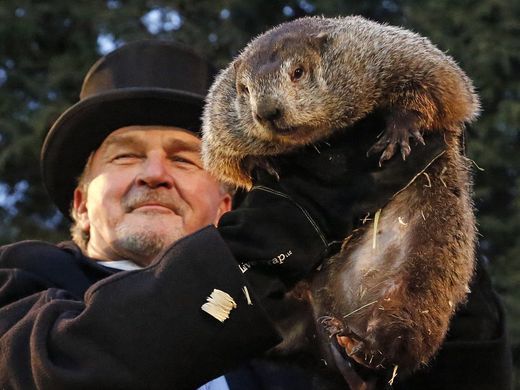 AlbertusSocial's tweet photo. You choose who to believe...Punxsutawney Phil says six more weeks of winter and Connecticut's Groundhog Chuckles predicts early Spring! https://t.co/54KriTXC74 #FearlessGroundHog #GroundHogDay #PunxsutawneyPhil #SixWeeksofWinter #Shadow #Spring https://t.co/2DCxSr7CG1