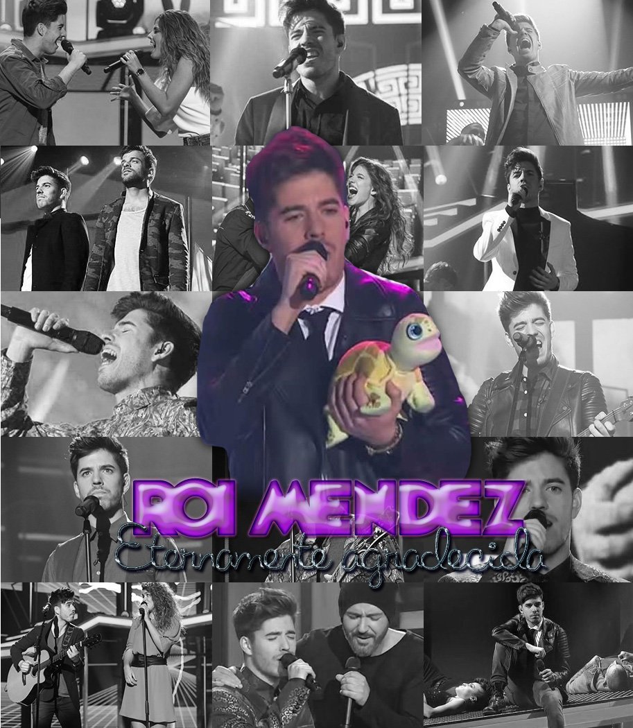 ᴀɴ ʙᴏᴏᴋɪsʜ ˹está ausente˼. tweet media