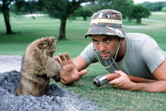 Orange Lake Golf tweet media