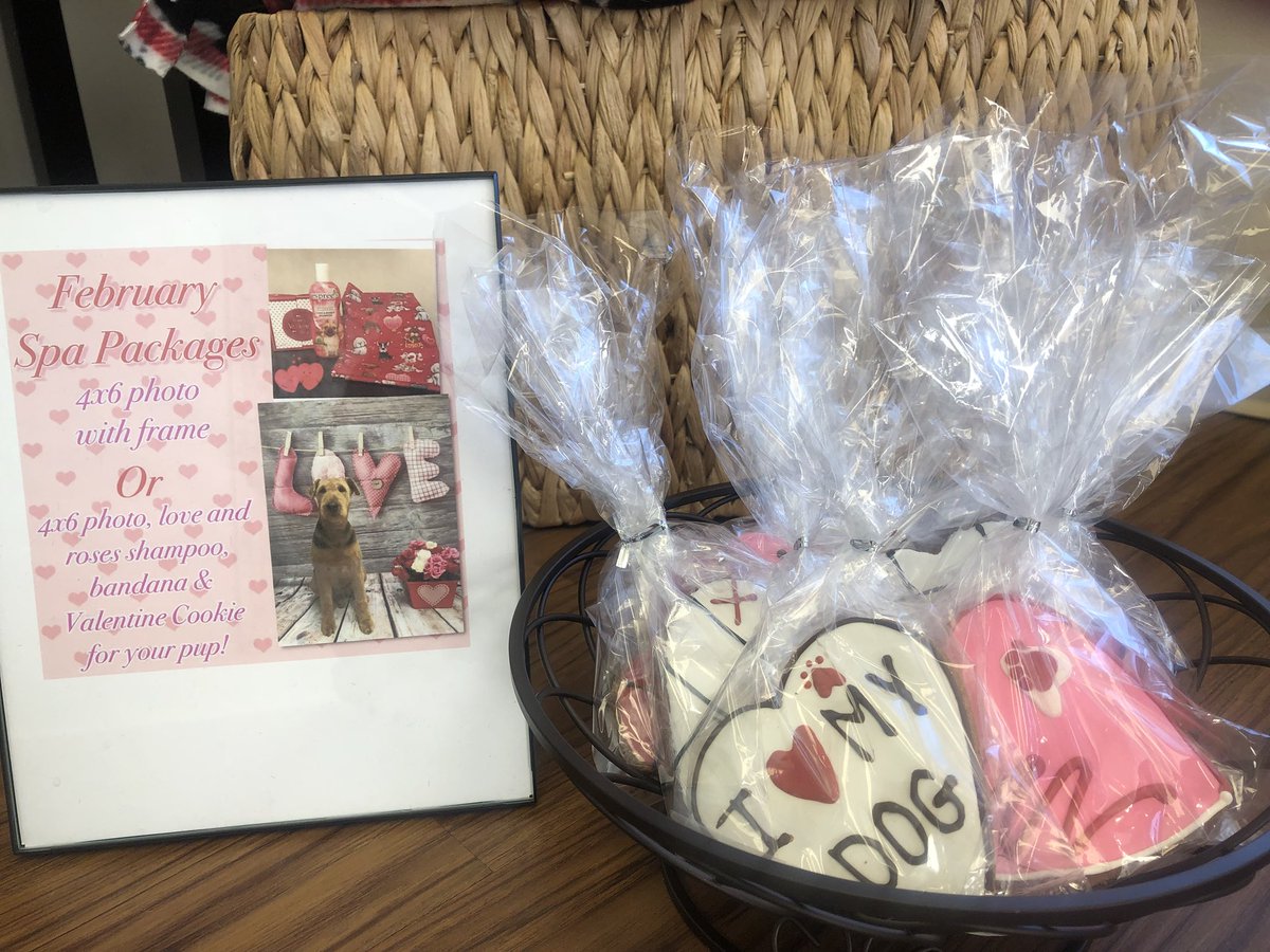 ibark grooming salon