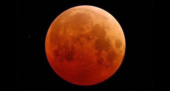 cutetin100's tweet photo. What they see vs. What I see

#SuperBlueBloodMoon https://t.co/M0fri6AqM4