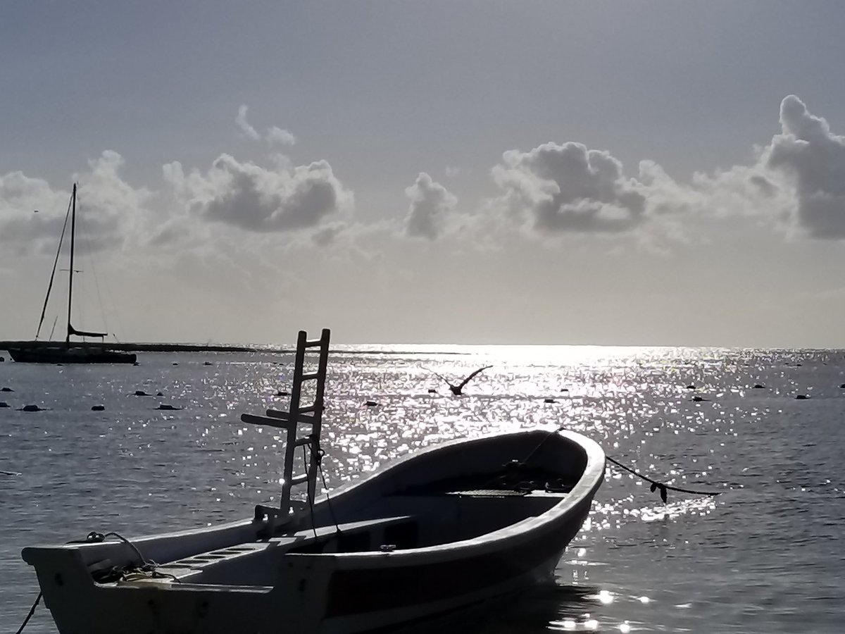 TRUIncentives's tweet photo. Another beautiful day at a beautiful @SecretsResorts #SecretsAkumal #travelTRU https://t.co/BNvESJltt3