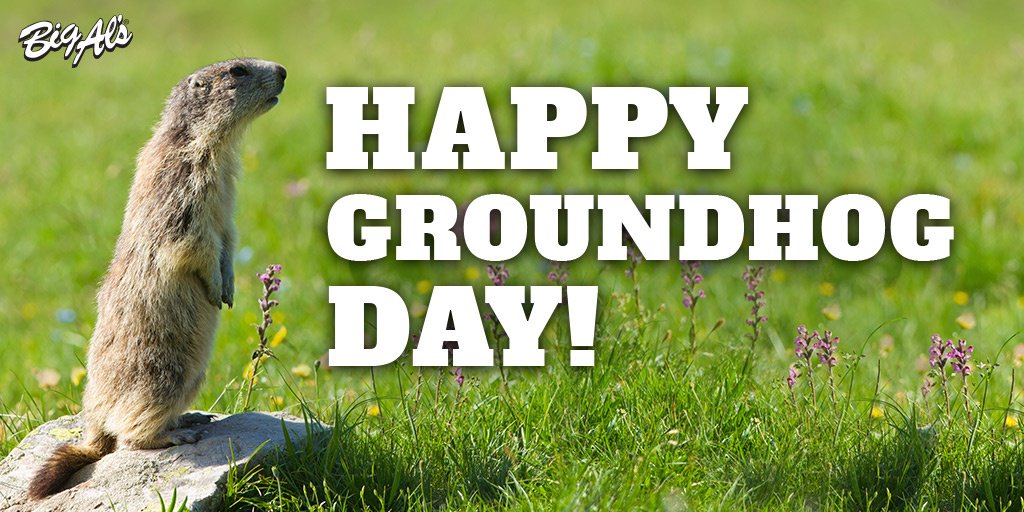 BigAls_Pets's tweet photo. Happy Groundhog Day! Are you #TeamShadow or #TeamNoShadow? #GroundhogDay #SpringForward #Winter #Shadow #Groundhog #EarlySpring #Spring  #GHD2018 #BigAls #BringUsHome #KeepOnTankin https://t.co/NqEWtgnQwK