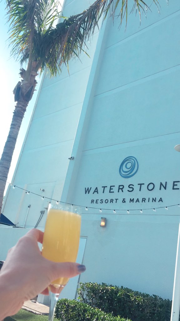 Krissy Vann tweet media