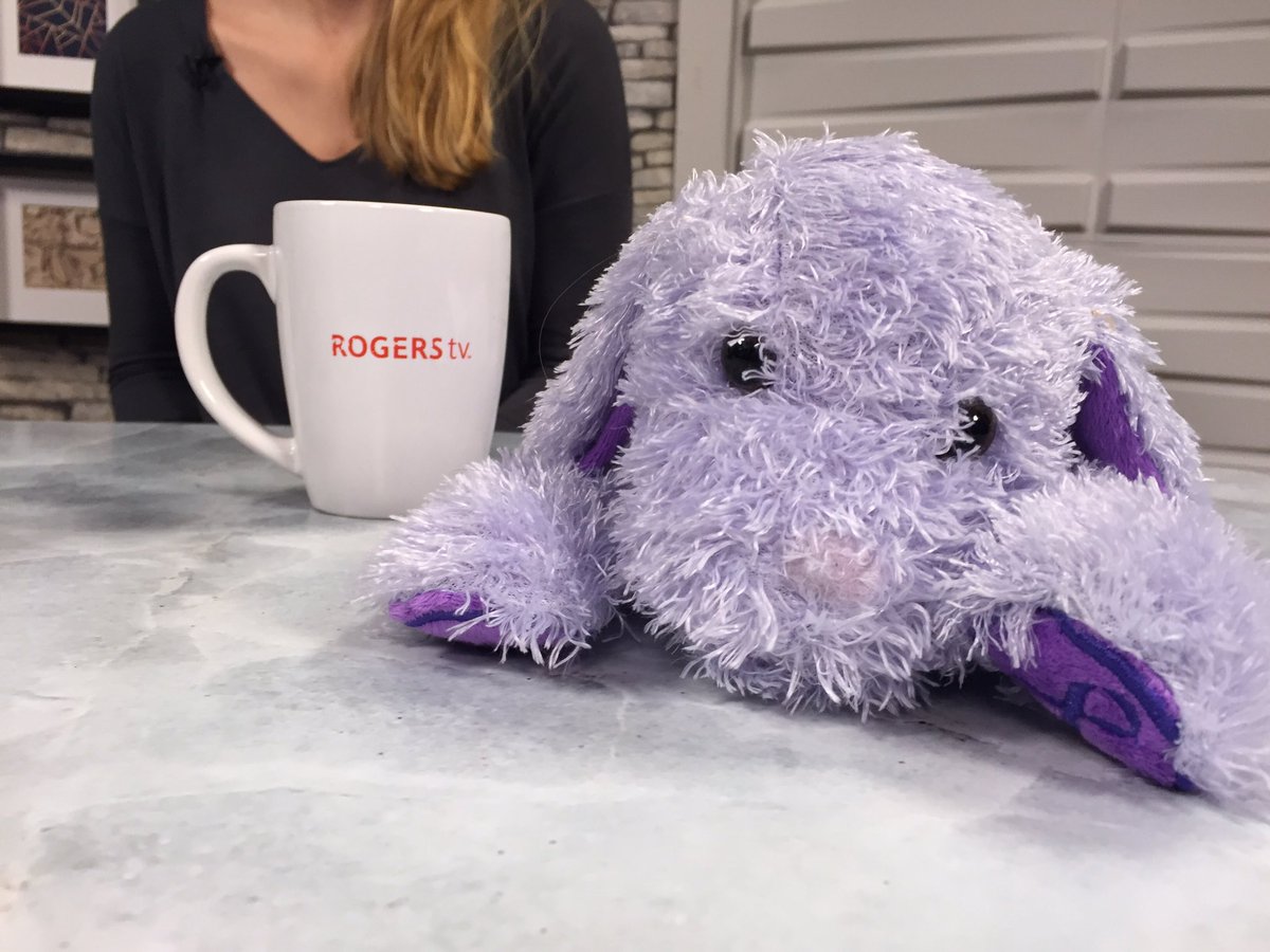 Epilepsy_Durham's tweet photo. Had a great time filming an #InsideDurham segment with @Ram_On_Air at @ROGERStvDurham yesterday! Thanks for chatting about our need for #volunteers &amp; our programs and services! https://t.co/0PW9g2Te6s